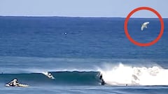 Un tibur&oacute;n blanco salta arriba a la derecha, rodeado con un c&iacute;rculo rojo, mientras varios surfistas surfean la secci&oacute;n de Supertubes de Jeffreys Bay (Sud&aacute;frica) el 11 de julio del 2022. 