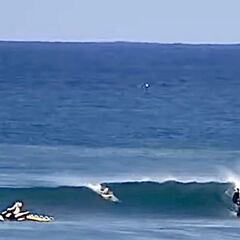Un tiburón blanco siembra el pánico en la liga mundial de surf