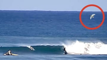 Un tiburón blanco salta arriba a la derecha, rodeado con un círculo rojo, mientras varios surfistas surfean la sección de Supertubes de Jeffreys Bay (Sudáfrica) el 11 de julio del 2022.