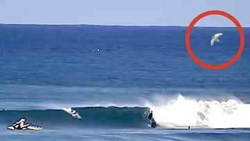 Un tibur&oacute;n blanco salta arriba a la derecha, rodeado con un c&iacute;rculo rojo, mientras varios surfistas surfean la secci&oacute;n de Supertubes de Jeffreys Bay (Sud&aacute;frica) el 11 de julio del 2022. 