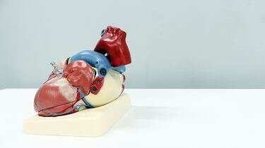 Vitamina K2: qué es y para qué sirve en la salud ósea y cardiovascular