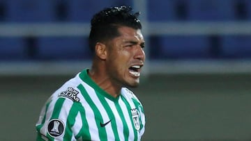 Nacional de Uruguay - Atlético Nacional: TV, horario y cómo ver online la Copa Libertadores