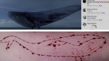 Ballena Azul: una joven ingresada por el primer caso en España. Fotos: The Siberan Times