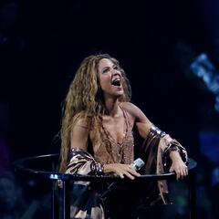 ¿Quién es Lili Melgar, la mujer a la que Shakira le dedica la canción de ‘El Jefe’?