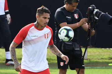 Top scorer in the Copa America in 2011 and 2015, Guerrero will hope to find the goals again to help Peru come out of Group A with hosts Brazil.