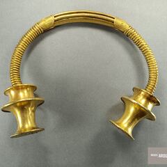 Excepcional hallazgo en Asturias