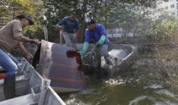 Así están las aguas de Río a pocos días de los JJ.OO.