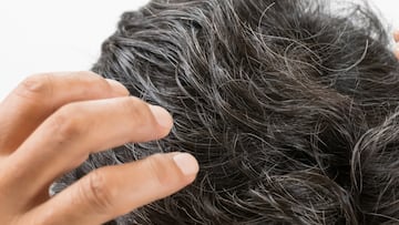¿Te preocupan las primeras canas? ¡Usa a diario este champú sin cambiar tu rutina!