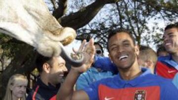 Portugal niega que Nani se fuera por problemas con Queiroz o de dopaje