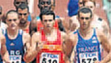 Higuero, en las series.