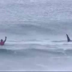 Ataque abortado de unas orcas en un evento de surf en Noruega