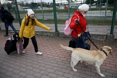 El drama humanitario de la invasión de Rusia a Ucrania
