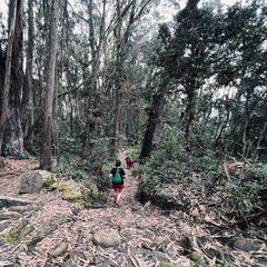 La Alcaldía de Bogotá y Secretaría de Ambiente anuncian la apertura de Quebrada La Vieja