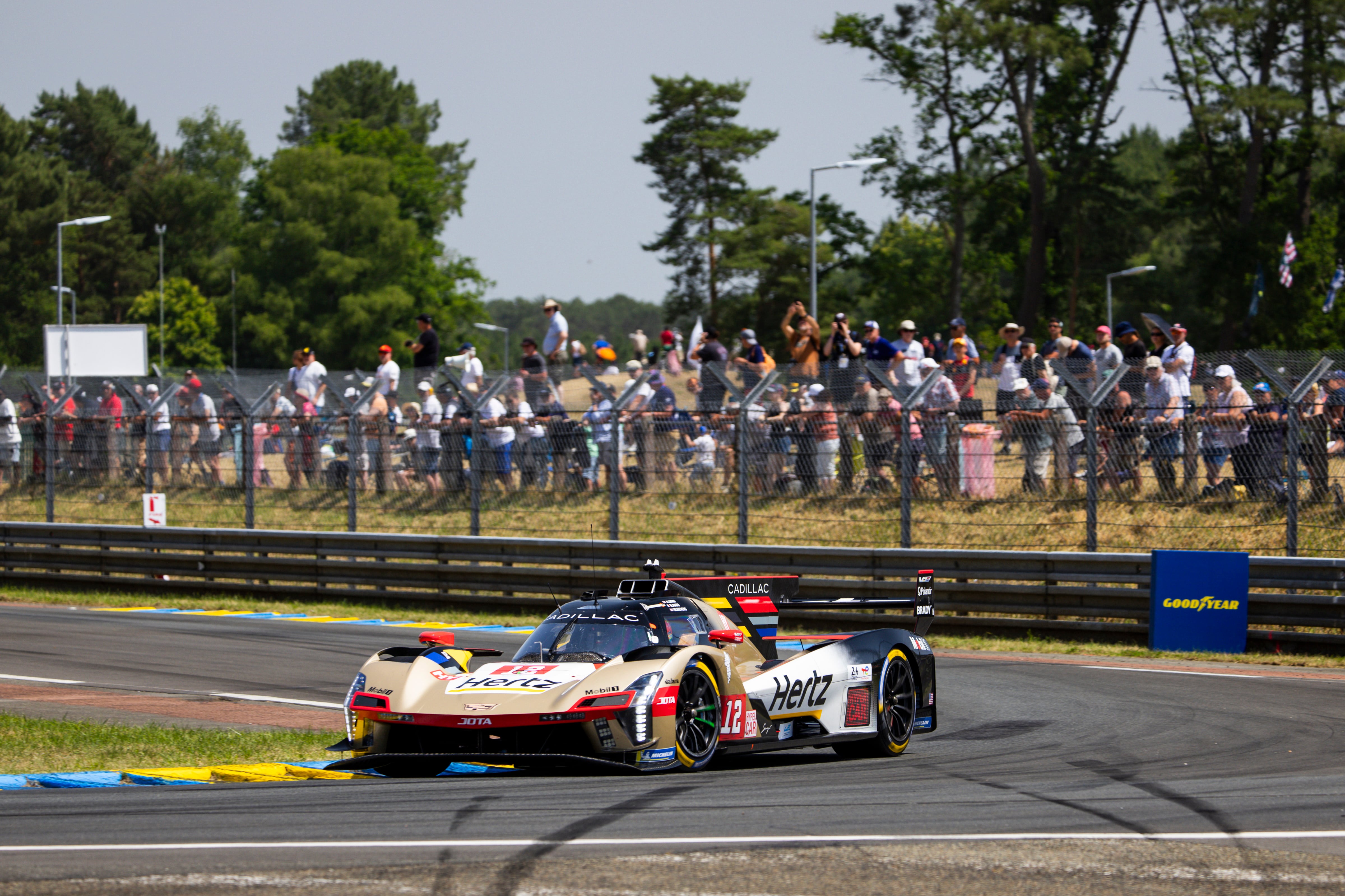 12 STEVENS Will (gbr), NATO Norman (fra), LYNN Alex (gbr), Cadillac Hertz Team Jota, Cadillac V-Series.R, #12, Hypercar, action during the Free Practice and Qualifying session of the 24 Hours of Le Mans 2025, 4th round of the 2025 FIA World Endurance Championship, from June 11 to 12, 2025 on the Circuit des 24 Heures du Mans in Le Mans, France - Photo Julien Delfosse / DPPI