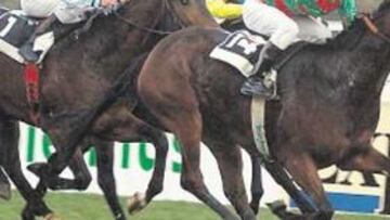 <b>VUELA BALDORIA, VUELA. </b>Borja Fayos celebra el triunfo en el Gran Critérium antes de llegar a meta.