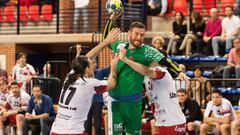 Los jugadores del Helvetia Anaitasuna intentan lanzar a porter&iacute;a durante un partido de Liga ASOBAL ante Naturhouse La Rioja.