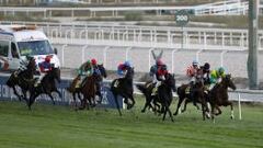 Los propietarios, vehículo para solucionar el conflicto del turf