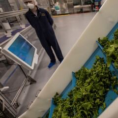 Is listeria deadly? What are its symptoms and how is it transmitted?