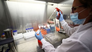Imagen de un laboratorio donde se analizan muestras de test PCR contra el coronavirus.