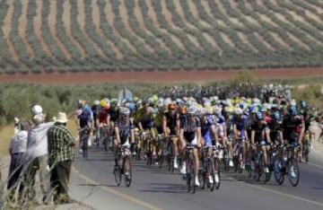 El pelotón durante la quinta etapa de La Vuelta Ciclista a España 2014 en su 69 edición, de 183,3 kilómetros, que ha comenzado en el municipio cordobés de Priego de Córdoba y termina en la localidad malagueña de Ronda. 