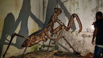 Las ilusiones ópticas en los grafitis de Odeith están fascinando a Internet