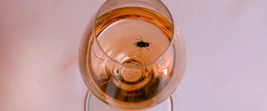 El sutil homenaje de ‘La sustancia’ a uno de los grandes referentes de la historia del body horror