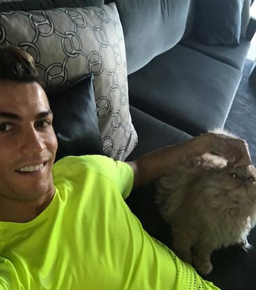 Las mascotas de los deportistas y sus parecidos de pelcula