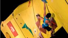 Torneo en Chile recibirá a los mejores escaladores del orbe