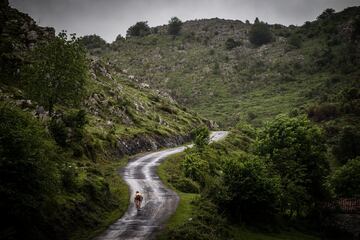 Óscar Freire, ciclista cántabro, subió con AS el puerto donde acabará la 17ª etapa. Varias rampas rebasan el 20%.

 