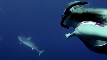 La surfista Alana Blanchard bucea en bikini rosa para observar un tiburón tigre gracias a One Ocean Diving.