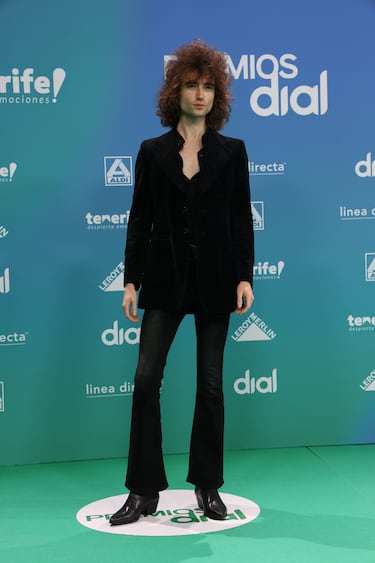 Malva, a su llegada a la alfombra verde de los Premios Dial Tenerife 2026.
