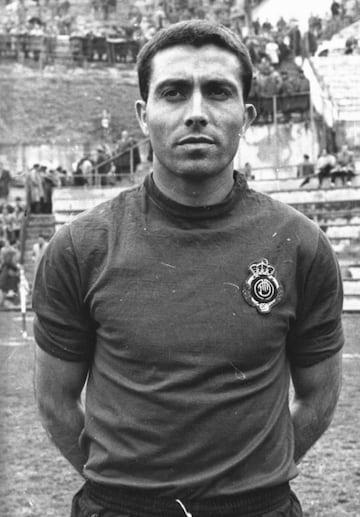 Jugó en el Barcelona entre 1955 y 1959 y en el Mallorca entre 1962 y 1965.