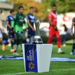 What changes are being planned in the Expansion League? Will promotion/relegation return?