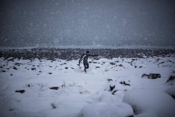 La nieve, la baja temperatura del agua... Nada detiene a estos surfistas que una temporada más disfrutan de la islas noruegas de Lofoten, en pleno Círculo Ártico.  