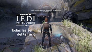 Todas las semillas del terrario para la Mantis