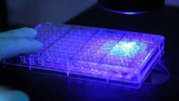 Treatment that could help cure cancer in a ‘FLASH’