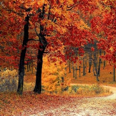 ¿A qué hora empieza el otoño, cuándo entra y cuánto duran los días?