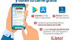 Carnet de vacunación: cómo y dónde descargarlo para mi celular