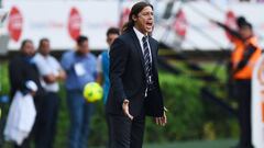 Chivas le cierra la puerta a Independiente por Almeyda