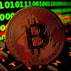 What are the cryptocurrencies that have increased the most in value this year?