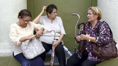 Pensiones en México: cuáles puedo cobrar, montos y requisitos