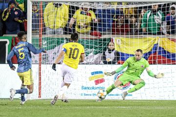 La Selección Colombia se enfrentó a Ecuador en el último amistoso del año. El partido se llevó a cabo en el Red Bull Arena de New Jersey.