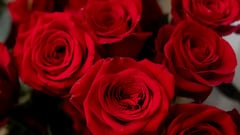 Clay Cary, trends analyst, on Valentine’s Day spending: “There has been a significant change in how Americans are approaching this holiday”