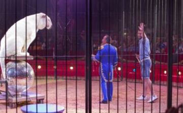 Los jugadores del Betis y el Sevilla visitaron el circo y participaron del espect¨¢culo. Negredo se atrevi¨® a entrar en la jaula de los leones.