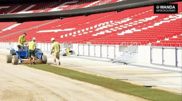 Los operarios colocan el césped en el Wanda Metropilitano.