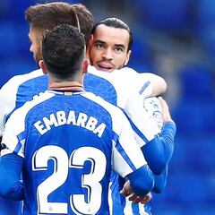 Periquitos con vértigo