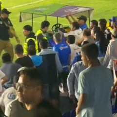 ¡Escándalo en la Liga de Expansión! Apuntaron a la afición con una pistola