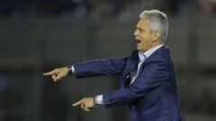 Reinaldo Rueda en un partido de la Selecci&oacute;n Colombia