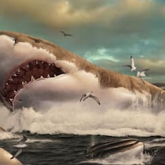 El megalodón fue más grande de lo que se creía