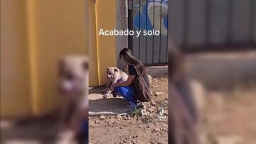 ¡Una segunda oportunidad para vivir! Así rescataron a este perro maltradado